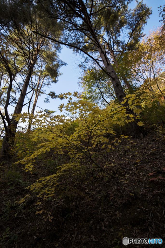 I fell in love with you not decorating