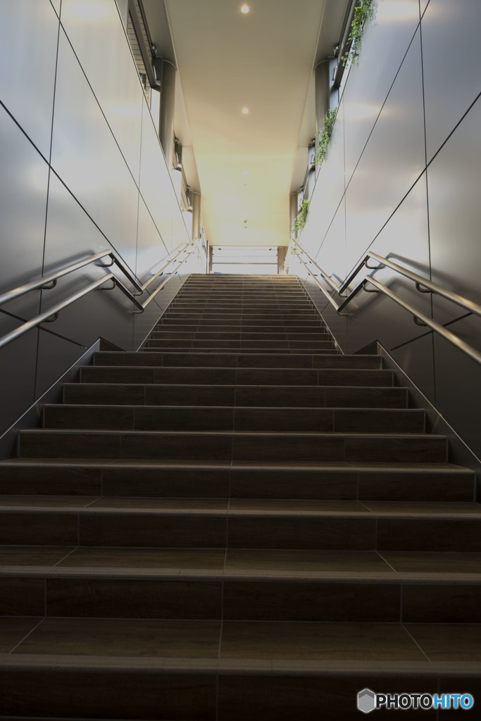 私は階段を駆け上がった　君に逢う為に