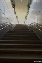 私は階段を駆け上がった　君に逢う為に