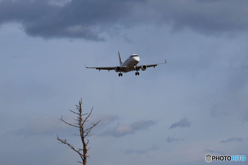 The joy yesterday replaces sorrow