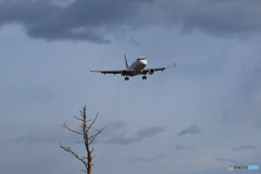 The joy yesterday replaces sorrow