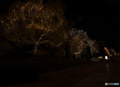 怖いと思うと立ち寄れない？