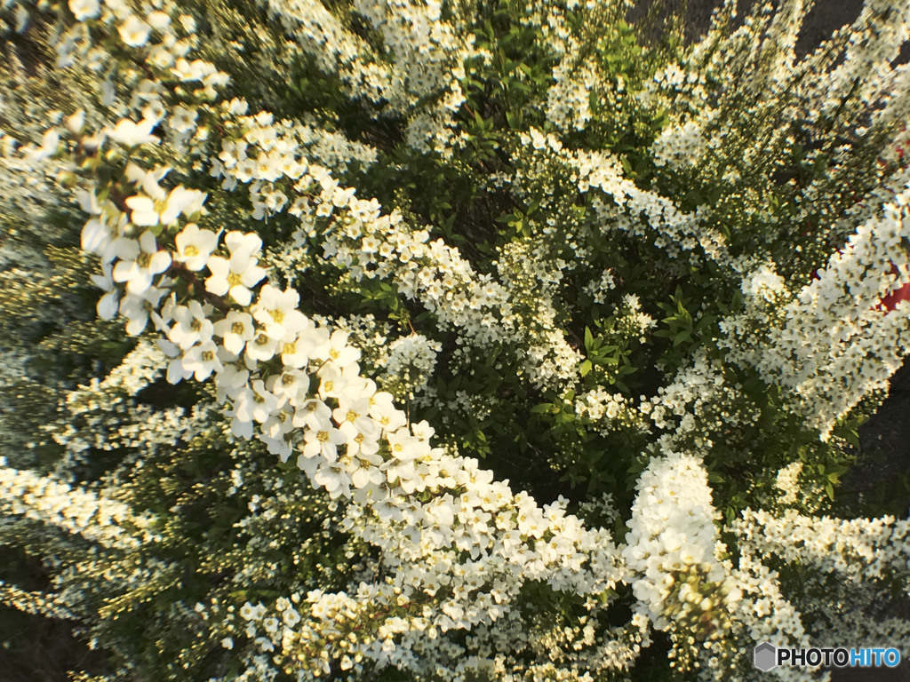 独り言の意味さえも言い訳になるのは