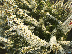 独り言の意味さえも言い訳になるのは