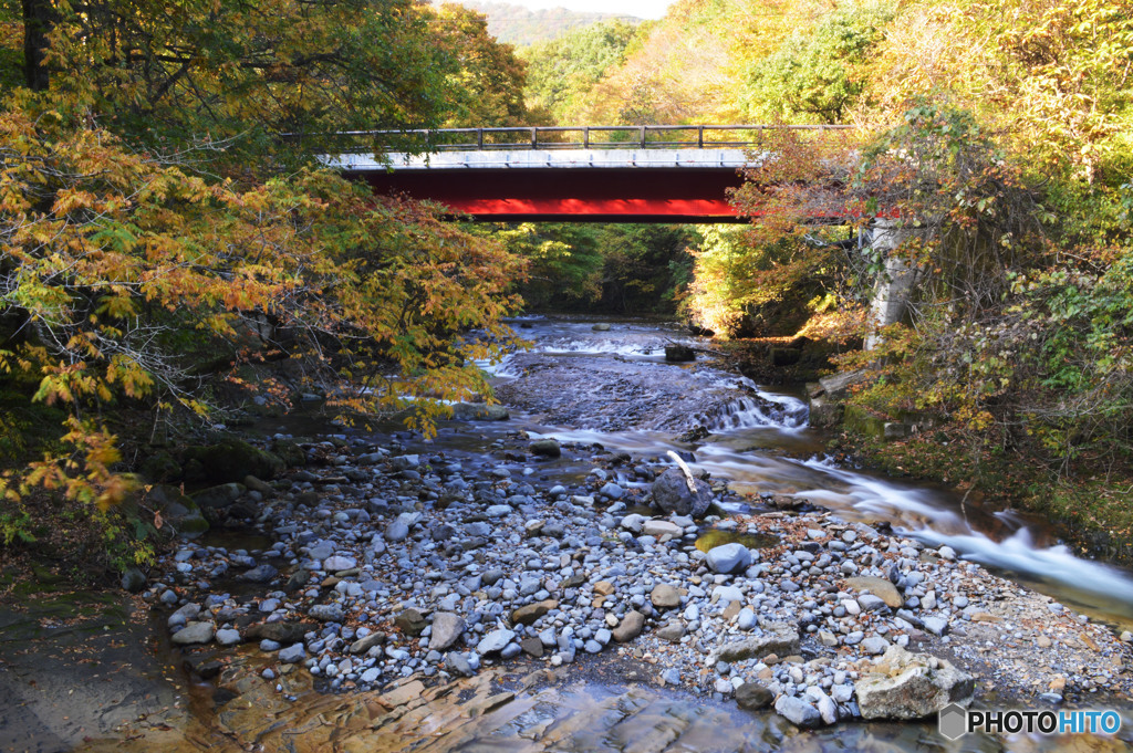 また会えたら良いね