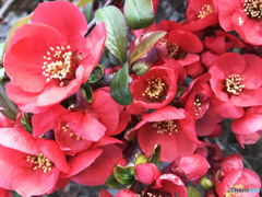 自分の罪を忘れる為 苦し紛れに