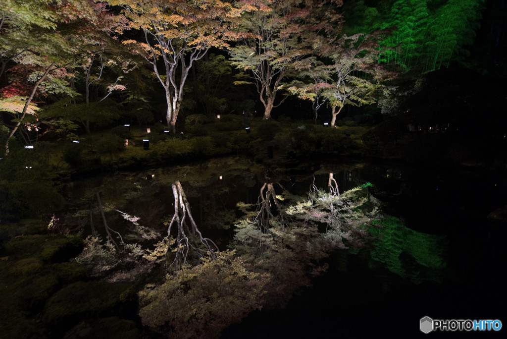 池に紅葉が写り込んだ