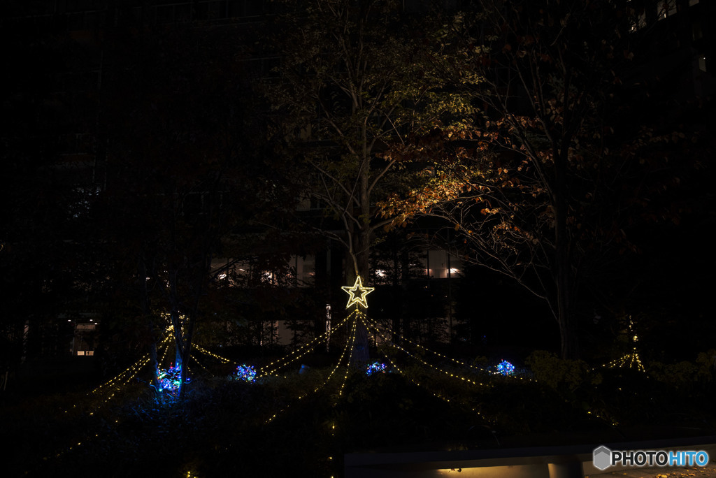 見つめてごらん夜の星を