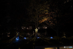 見つめてごらん夜の星を