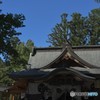 青空が引立つ【二人を見守る社】