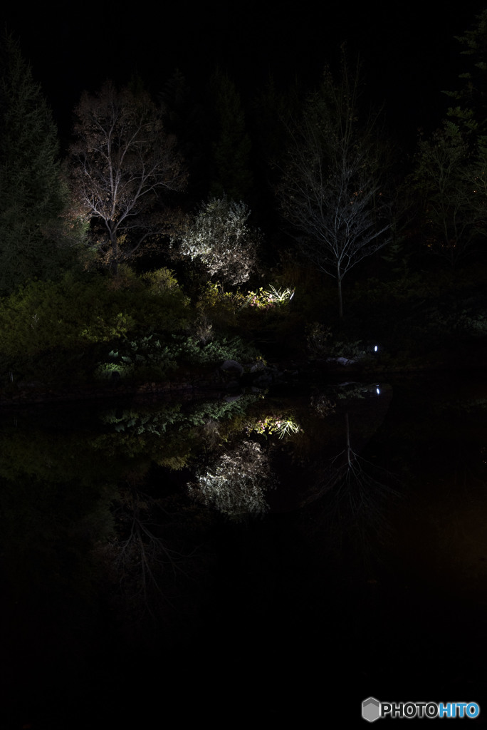 Surely someone I love