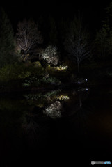 Surely someone I love