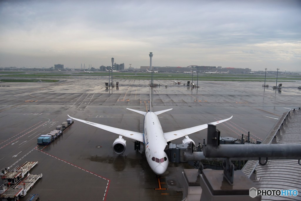 787