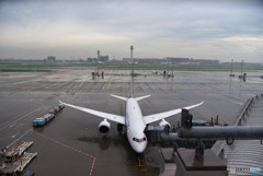 787