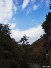 Returning to the child 's sky ...