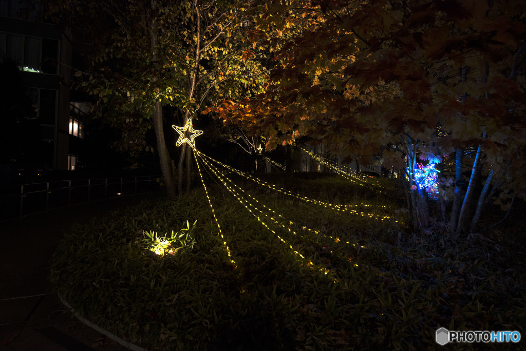 天使たちのかくれんぼ