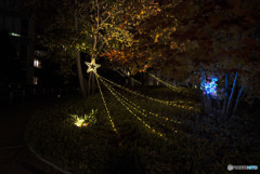 天使たちのかくれんぼ