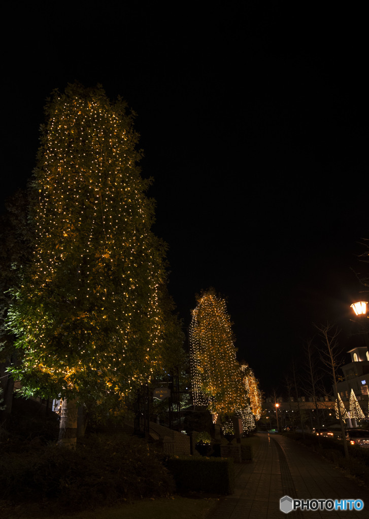 The lonely night that shakes me