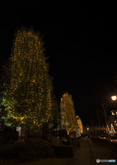 The lonely night that shakes me