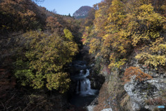また、来年逢う事を約束