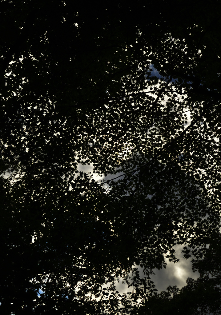 暗雲の中に