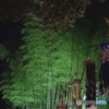 竹に願いを