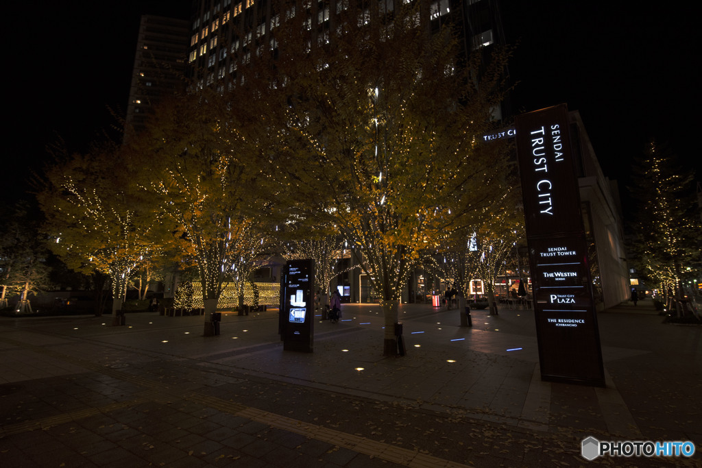 ごめんなさい 深く反省します。