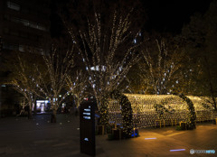 時を超えて星は光る