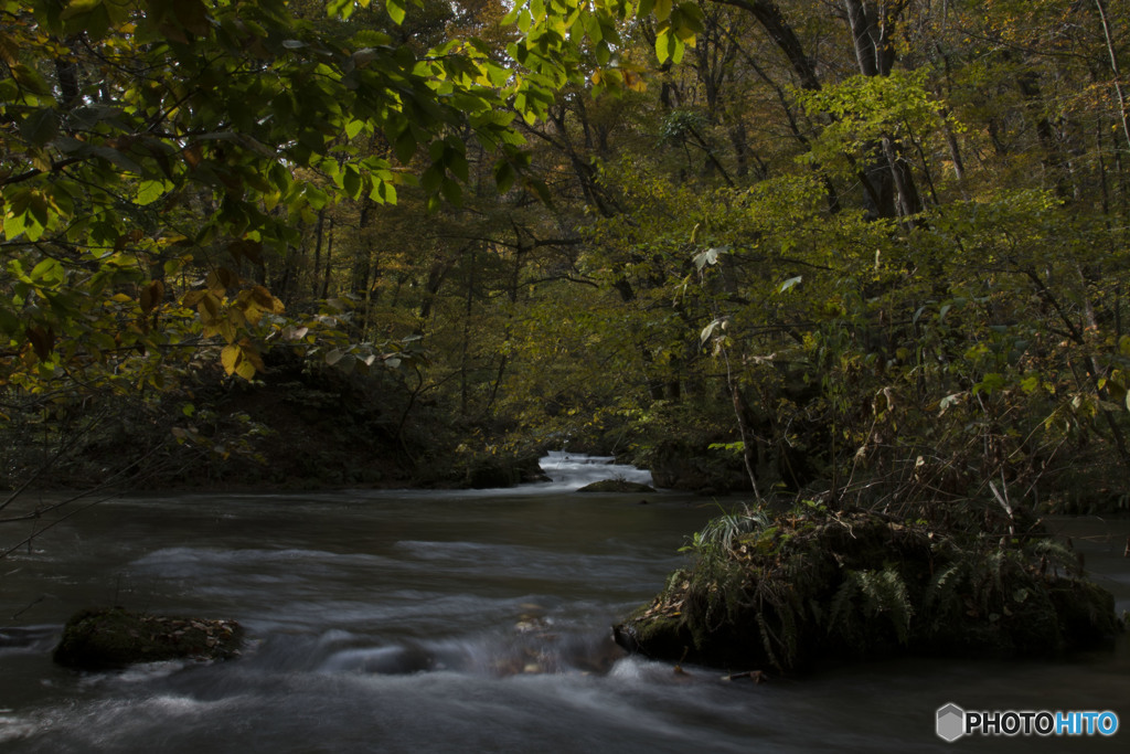 A missing flow