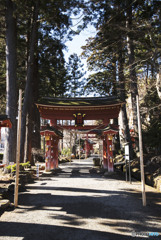 To get under the torii
