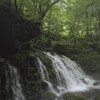 心の奥見透かされながら