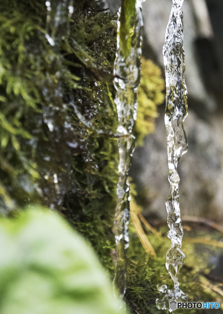 今年初氷柱です。