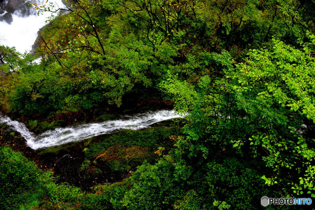 マイナス効果あるのかな。