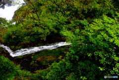 マイナス効果あるのかな。