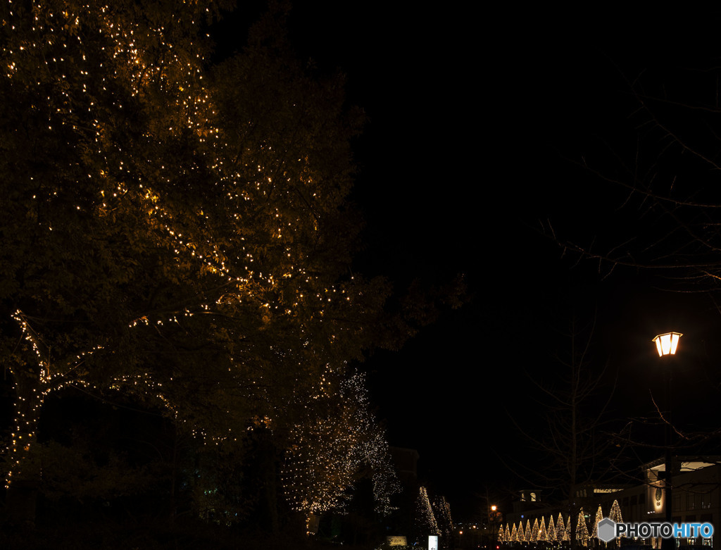 怪しげな灯りと聖なる灯り