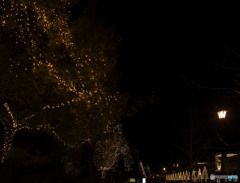 怪しげな灯りと聖なる灯り