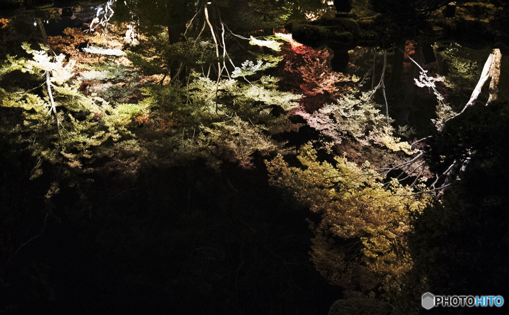 Autumn leaves reflected in the pond