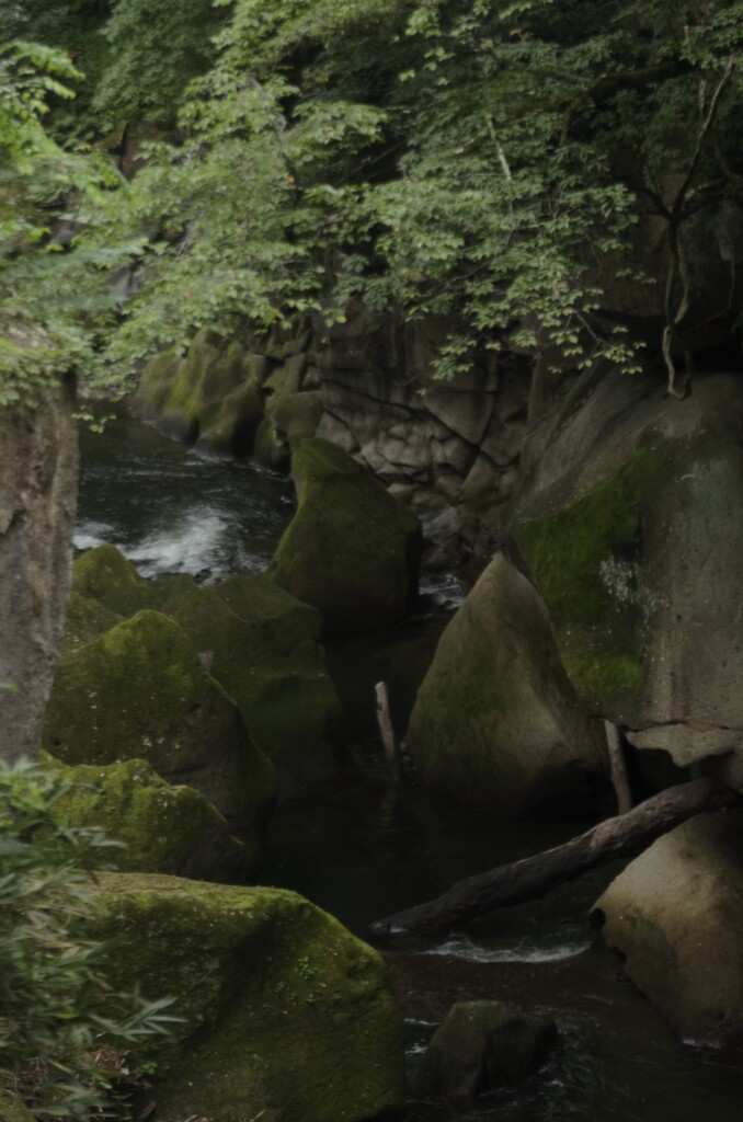 お気に召すまま