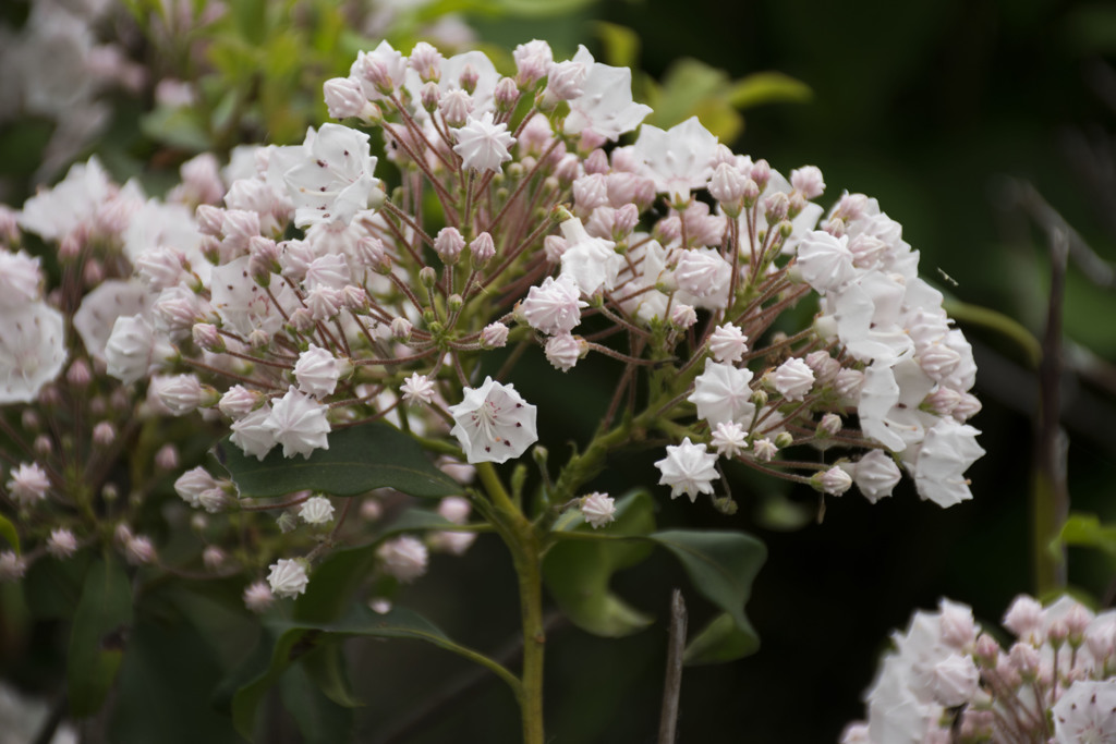 I'm in love with you