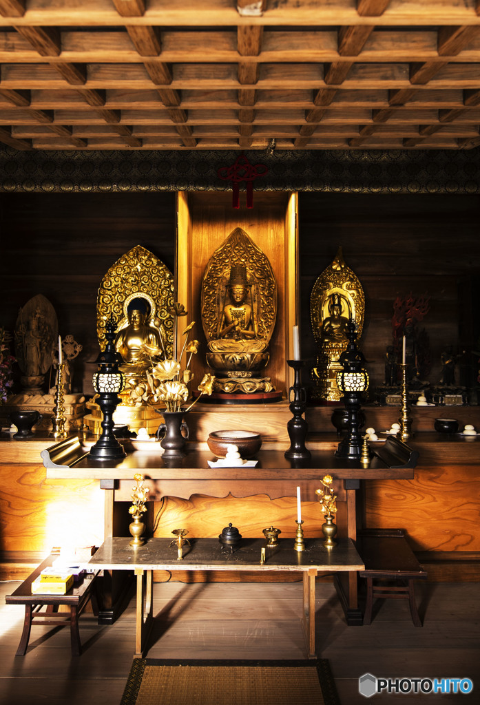 生きているのではない 生かされている事に感謝