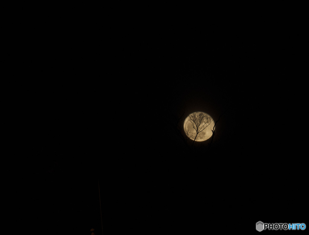 クレーターと木陰【瑞巌寺の月】