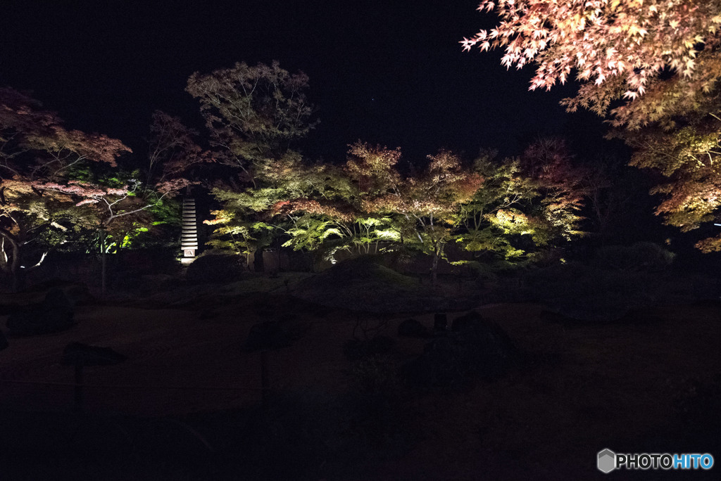 円通院ライトアップ