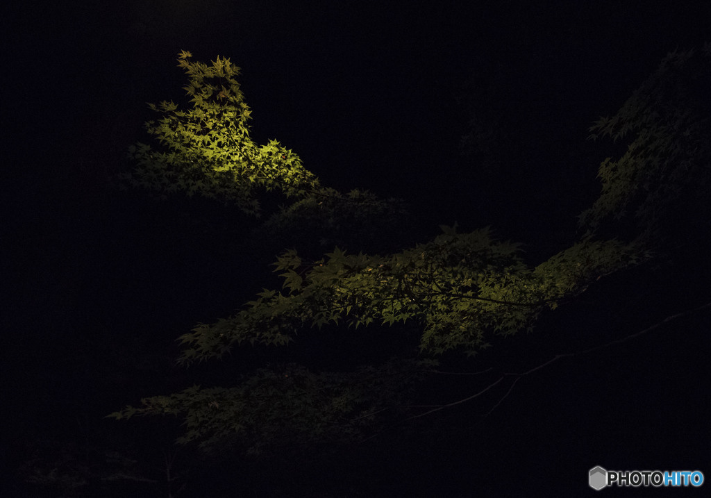 喜怒哀楽　「Emotions」