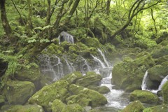 哀しみ振り出す雨