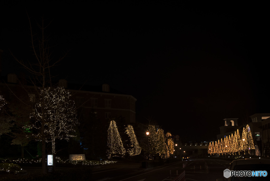 じっと見つめる