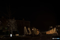 じっと見つめる