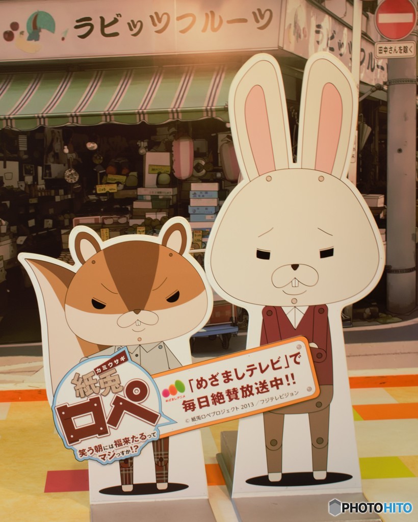 星座は？【膝？】