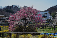 初めてなのになぜか懐かしい