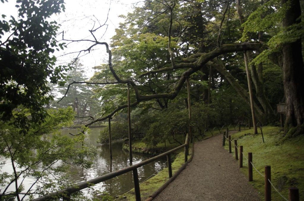 失った後で真実に気づくのはなぜ