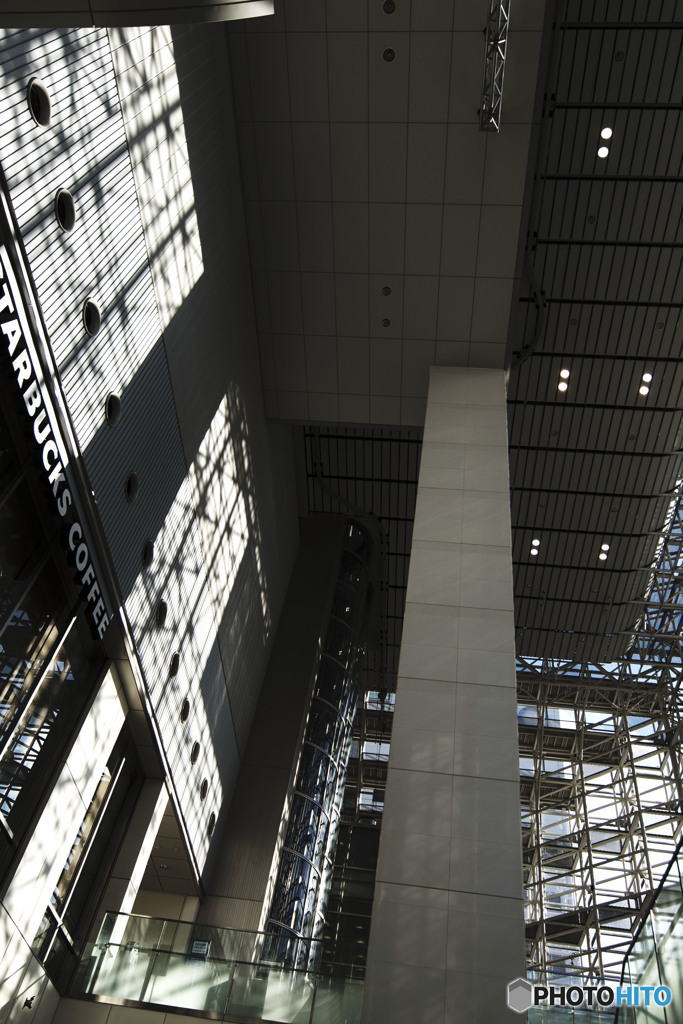 当て無き道を彷徨う